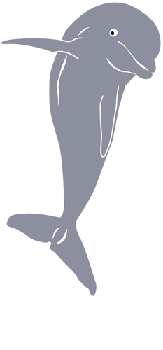 Dolphin jumping  vector graphics