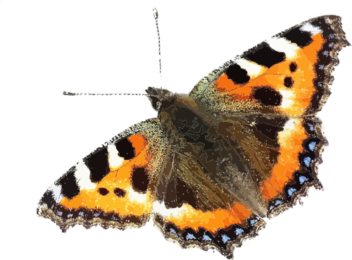 Icono de mariposa colorida