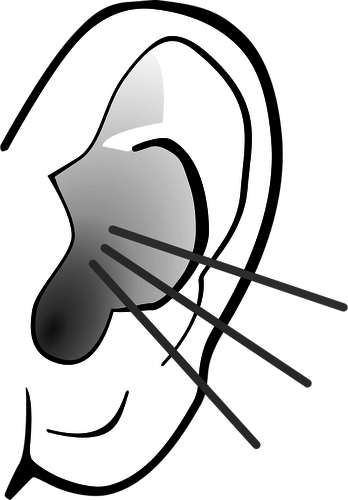 Vector graphics of grayscale listening ear