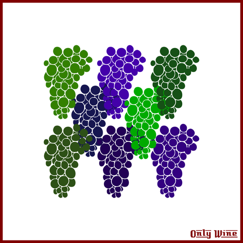 Colorful grapes image