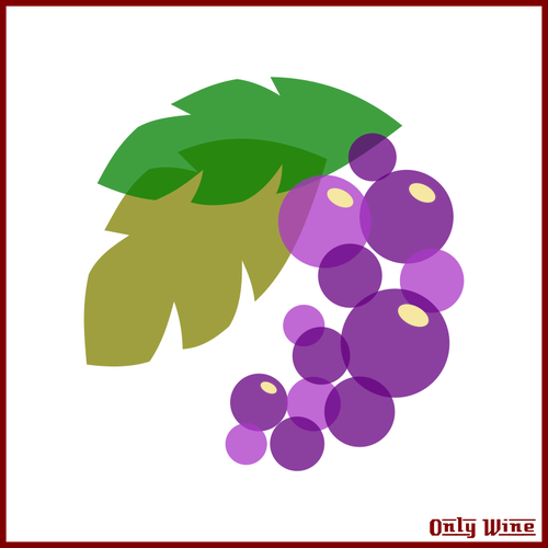 Imagen de uvas moradas