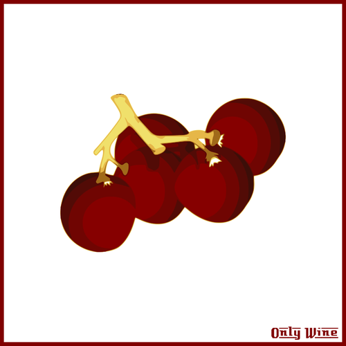 Imagem de uvas vermelhas