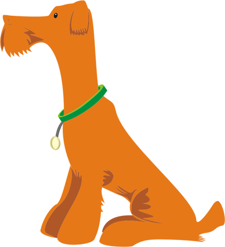 Oranje hond zittend