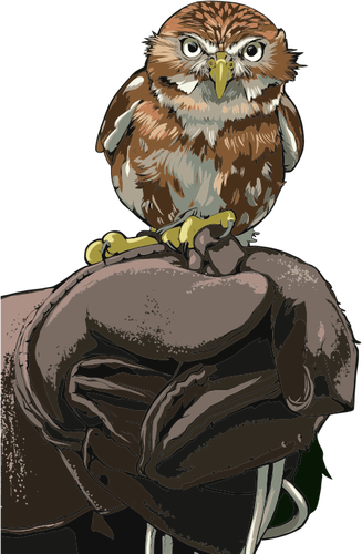 Owl uppflugen pÃ¥ behandskade hand