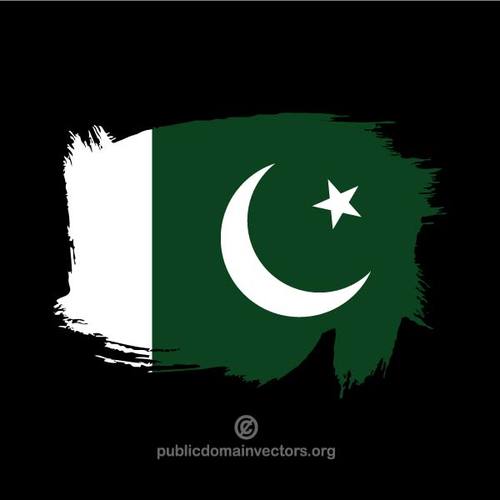 MÃ¥lade flagga Pakistan