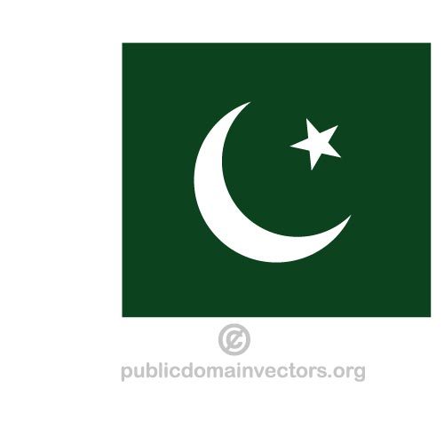PaquistanÃªs vector bandeira