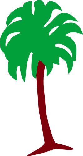 Palm-Baum-Bild