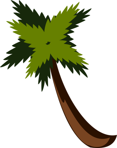 Palm copac vector imagine