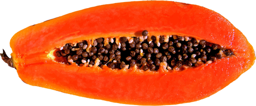 Papaya-Scheibe