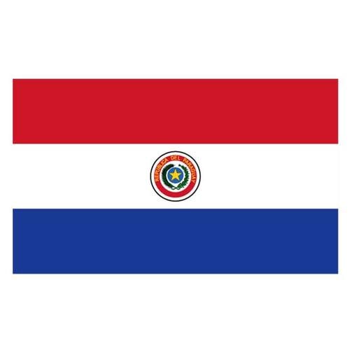 Paraguay Cumhuriyeti bayraÄŸÄ±
