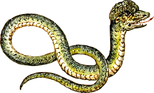 SÃ¦regne slange