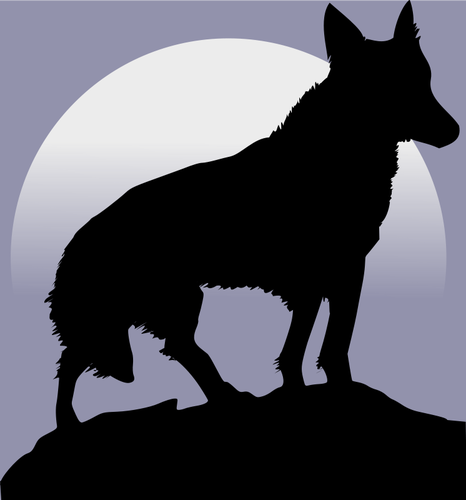Wolf silhuett foran mÃ¥nen vektor image
