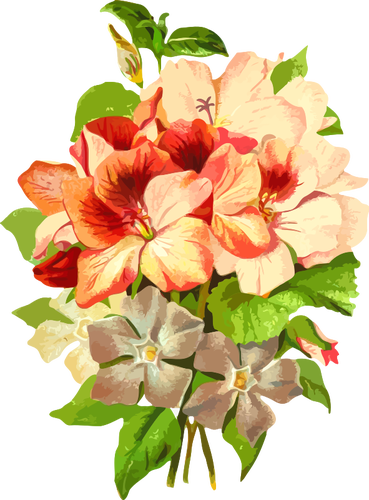 Bouquet de fleurs colorÃ©es