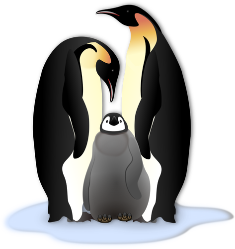 Penguin family in color illustration