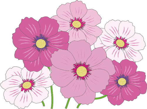 Flori roz ÅŸi alb