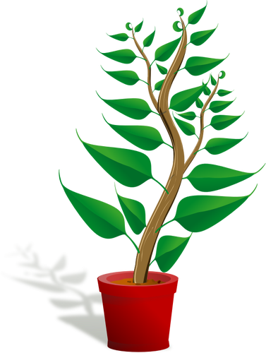 Green plant pot vector illustration