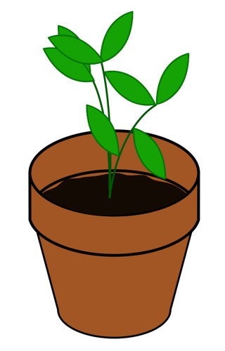 Vector de la imagen de sencilla planta en una maceta de terracota