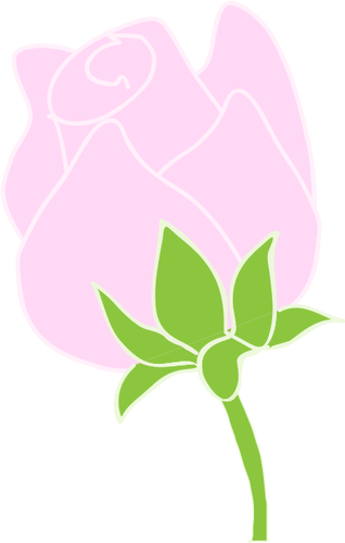 Roze roos lijntekeningen