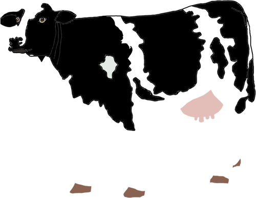 Krowa, rysunek