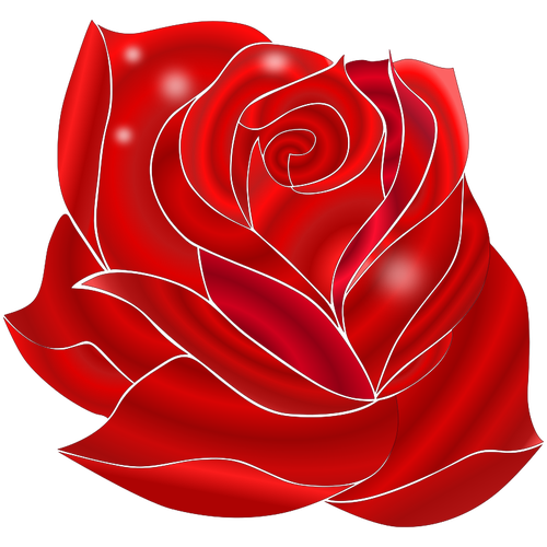 Illustratie van bloeiende rijke rode roos