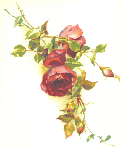 Imagine de vector sÄƒlbatice trandafiri rosii