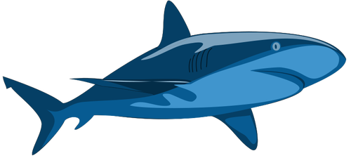 Gambar murni hiu