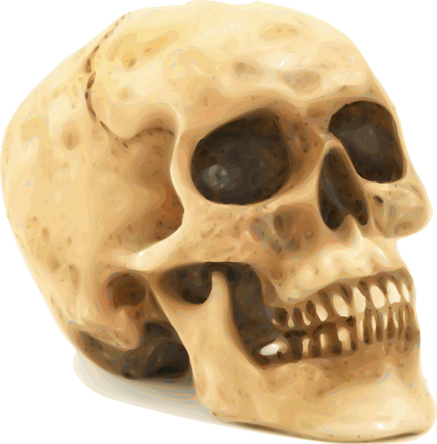 Infricosator Halloween craniu vector miniaturi