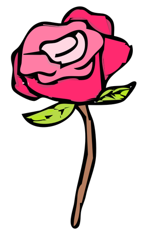 Rosa rose vector illustrasjon