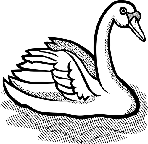 Swan med del ojÃ¤mn fjÃ¤drar i vatten vektorbild