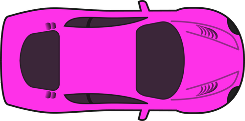 Rosa carreras prediseÃ±adas auto vector