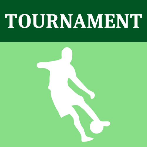 Football tournoi icÃ´ne vector image