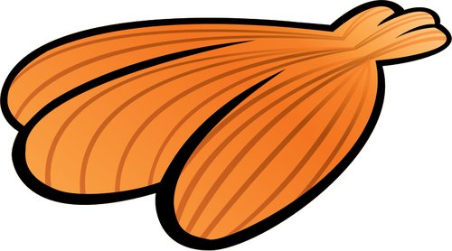 Immagine di conchiglia di mare arancione di estate