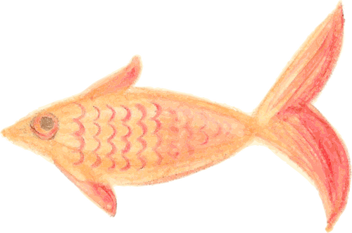 Oransje fisk skisse