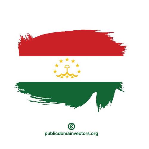 Pintada bandera de TayikistÃ¡n