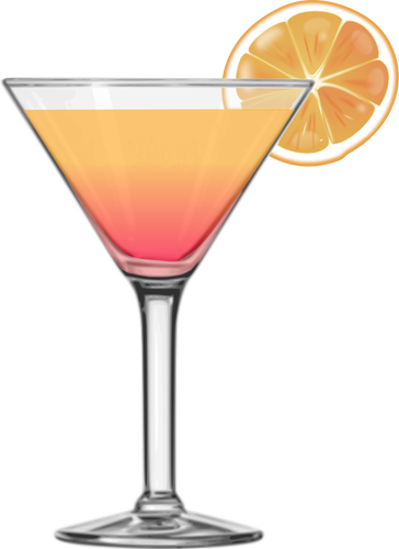 Tequila sunrise cocktail vector image