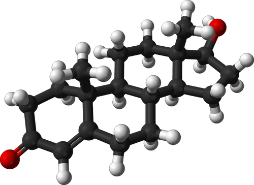 Testosterone molecule 3d