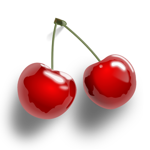 Cherries with shadow vector clip art
