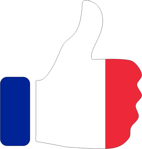 Kciuk w gÃ³rÄ™ z flaga francuski