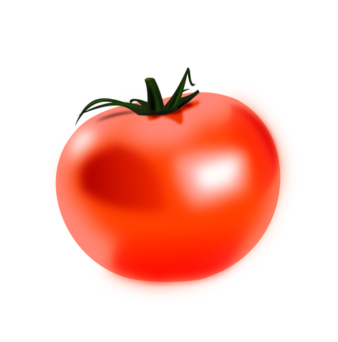 Image vectorielle glacÃ© de tomate