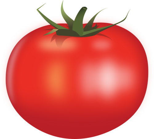 Sappige tomaat