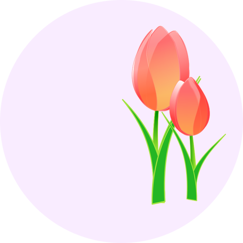 Vector de la imagen de un tulipanes