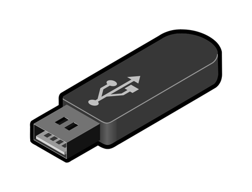 GrÃ¡ficos de vetor 1 USB thumb drive