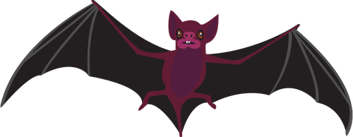 Violet bat