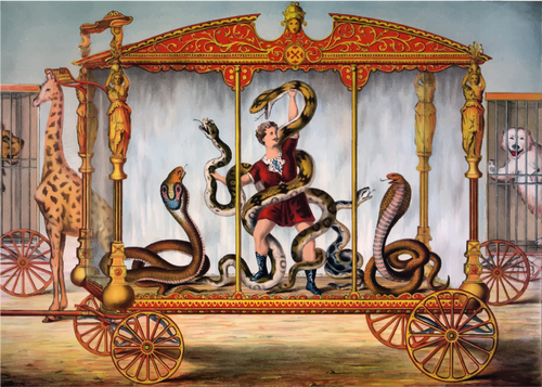 Circus snake handler