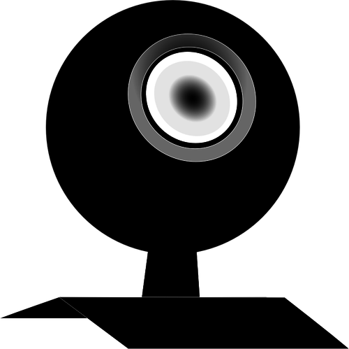 Zwart-wit webcam vectorafbeeldingen