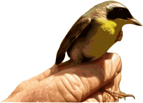 Oiseau de gorge jaune sur un graphique de vecteur de main