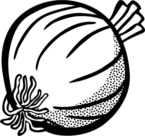 Imagen de cebolla en blanco y negro