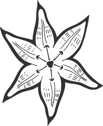 Image vectorielle lily dÃ©coratifs
