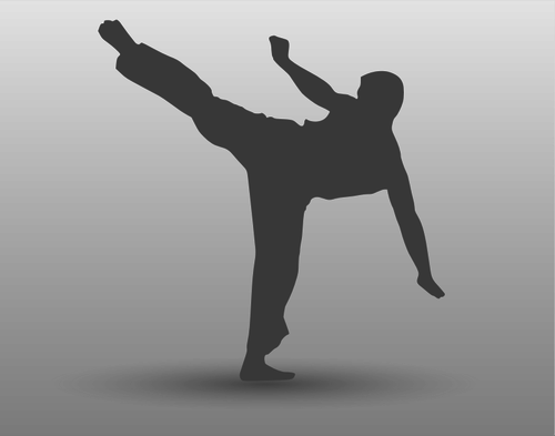 Vector drawing of karate man with leg up