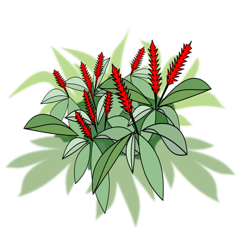 Pflanzen mit roten BlÃ¼ten